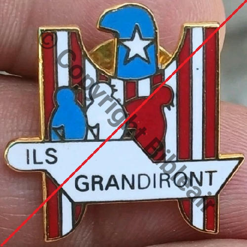 NH  ECOLE DE PILOTAGE  AUX USA PINS  PARIS INSIGNES Attach PINS Quadrille fin MINIATURE AMICALE Src.aetiusledernierdesromains 58Eur08.25 
